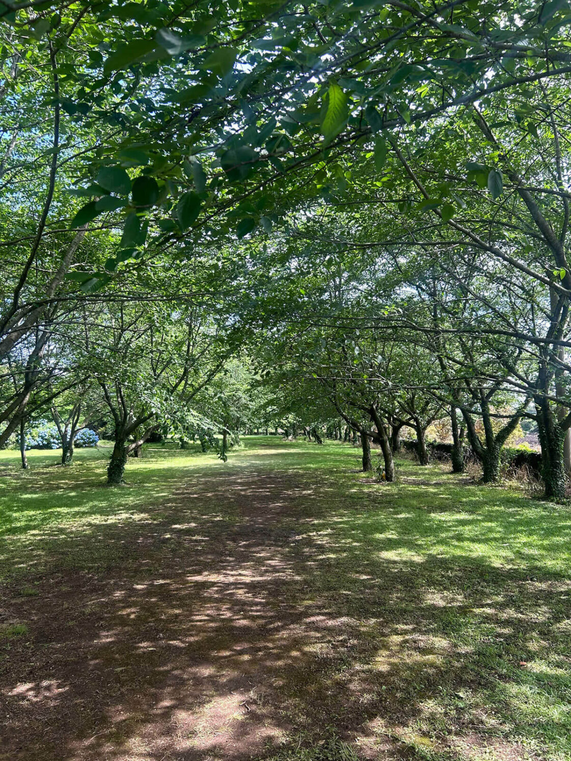 “동행, 혼자 걷지 않을 거예요​”