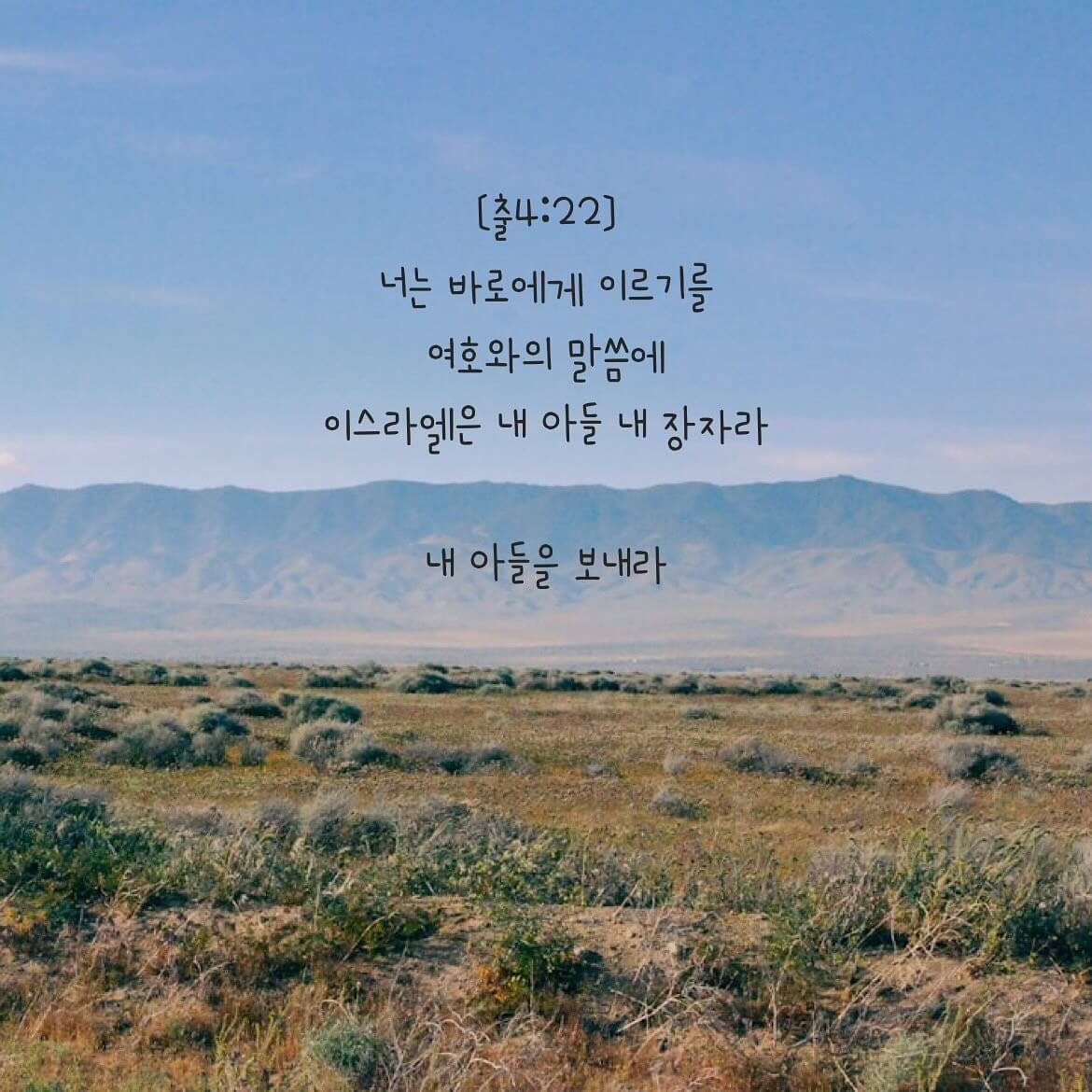 내 아들을 보내라