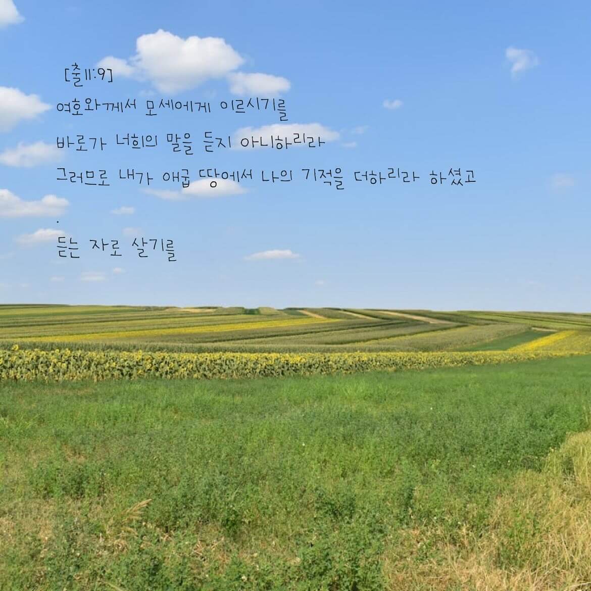 듣는 자로 살기를