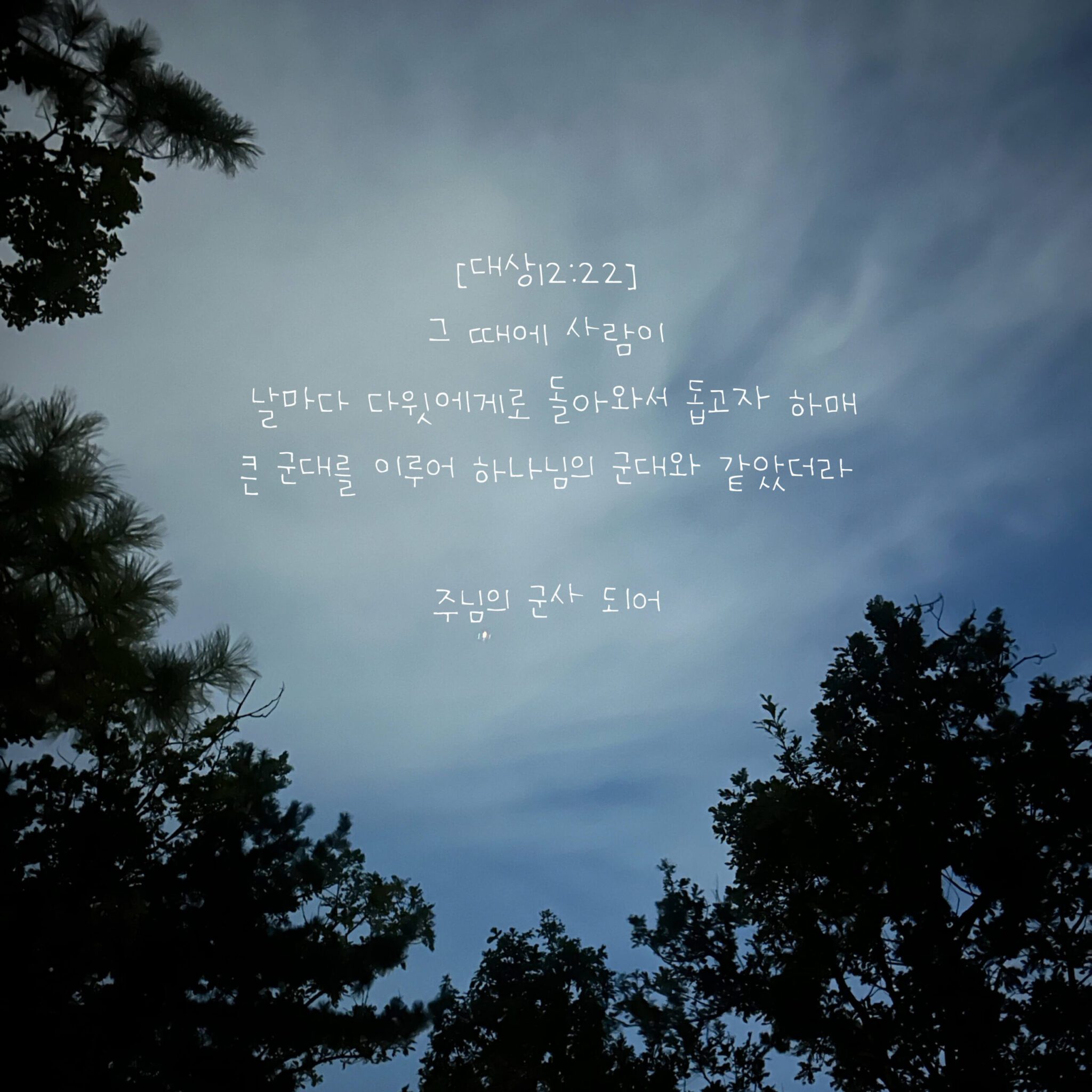 주의 군사 되어