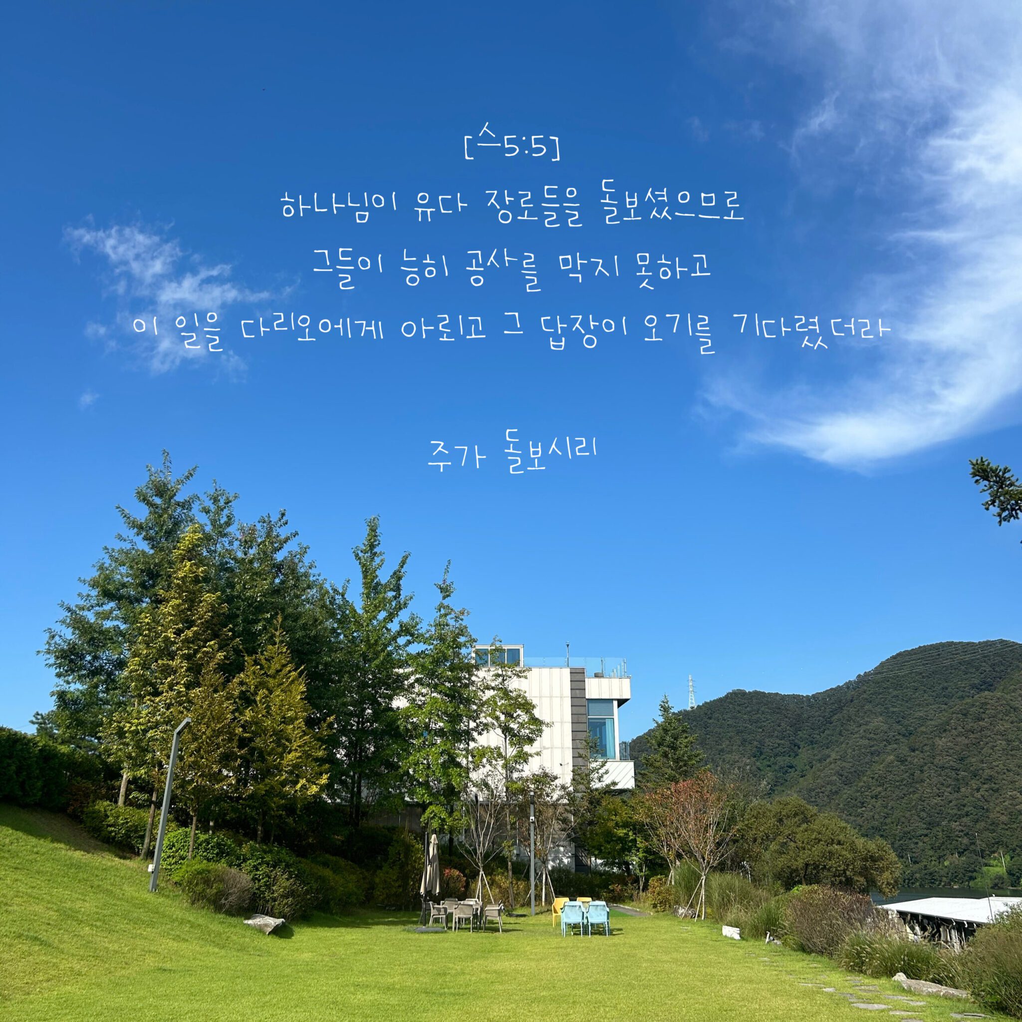 주가 돌보시리