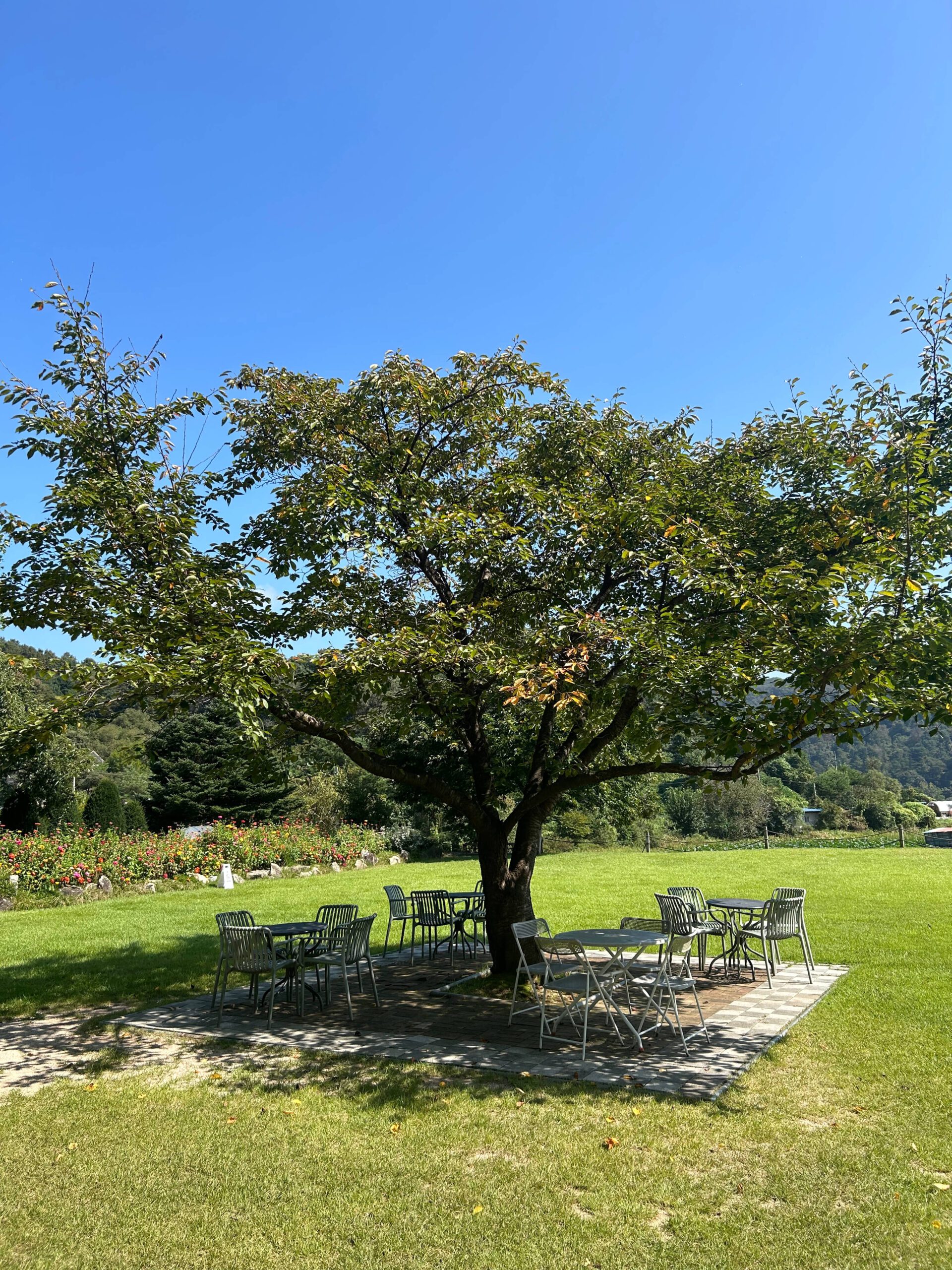 배송완료된 말씀