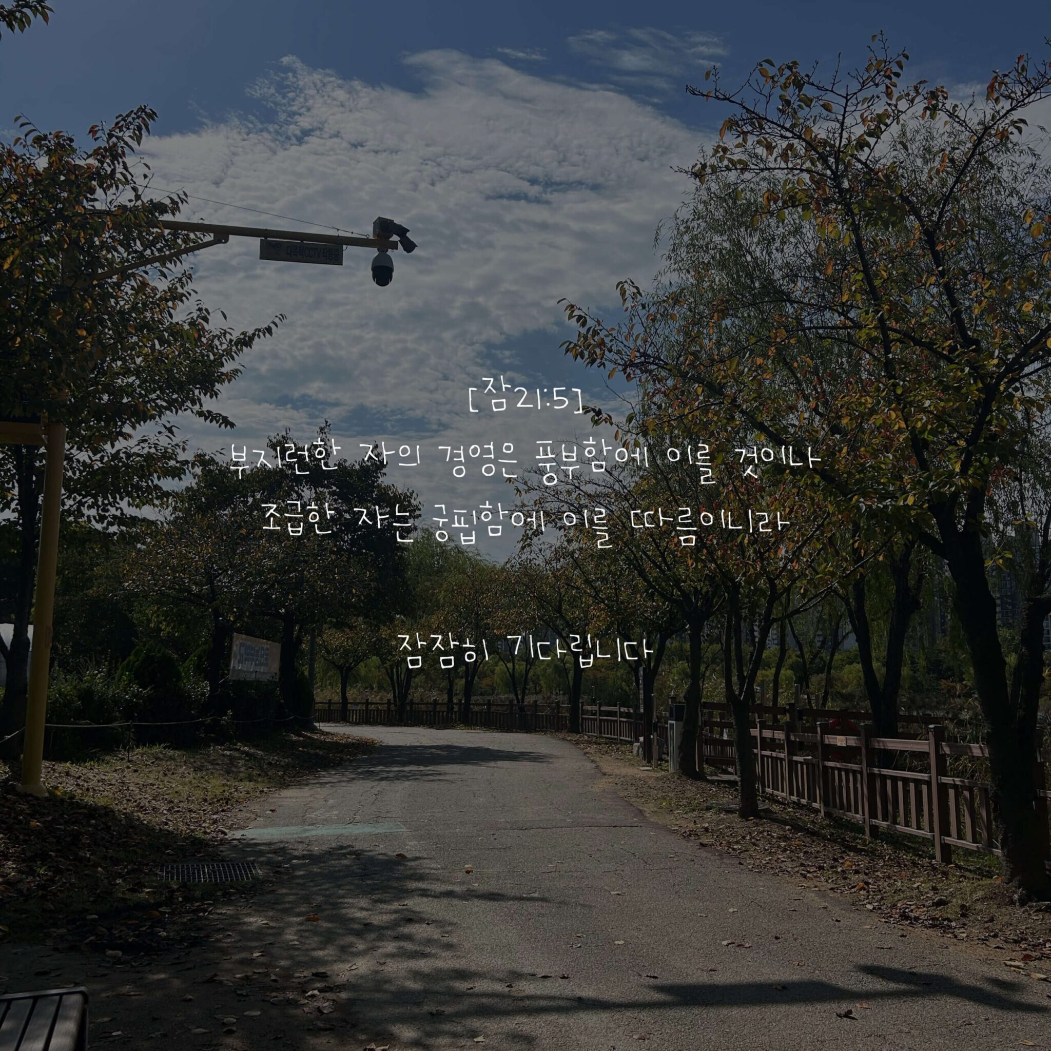 잠잠히 기다립니다