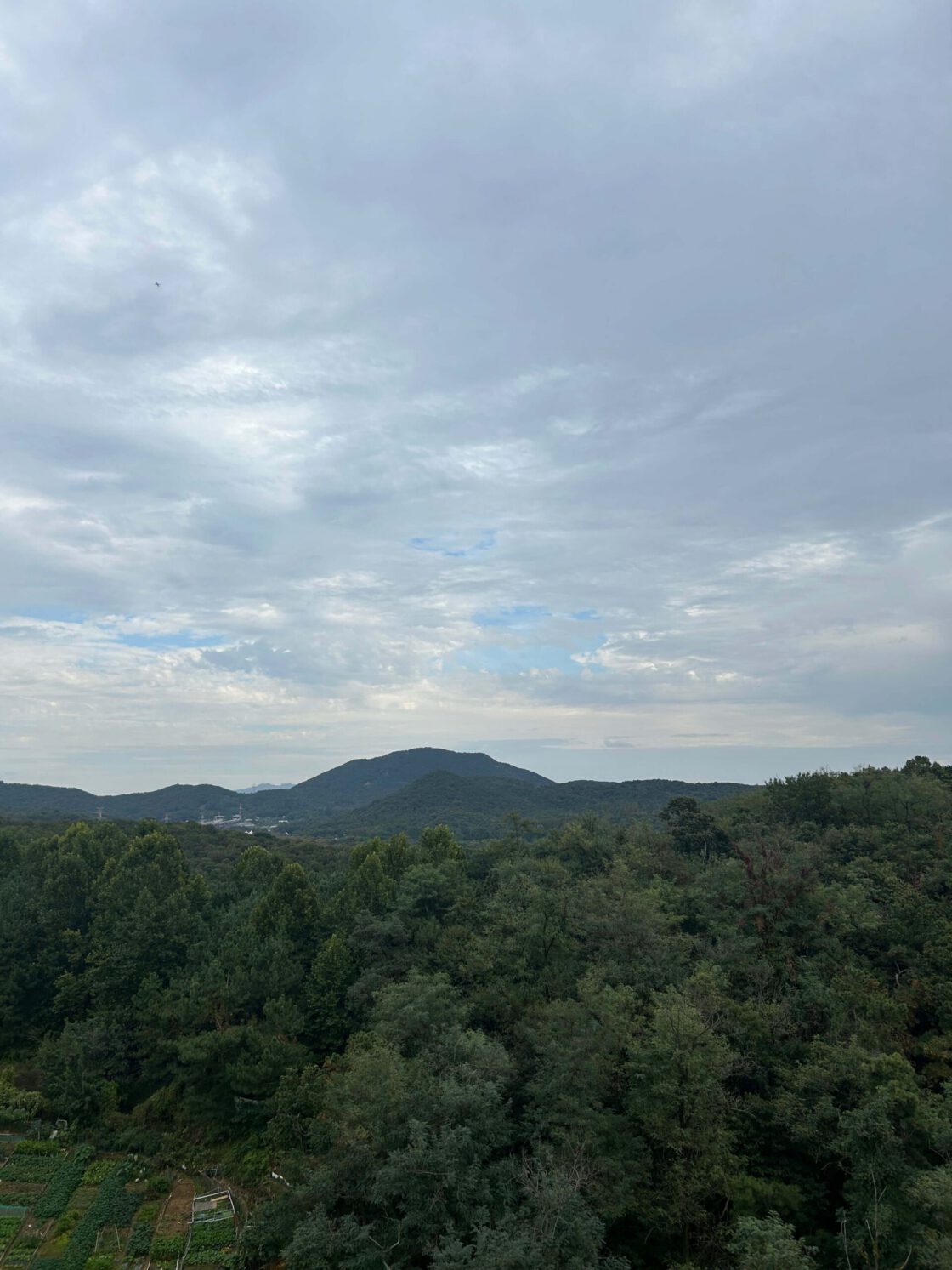 살인 아닌 살리는 자로