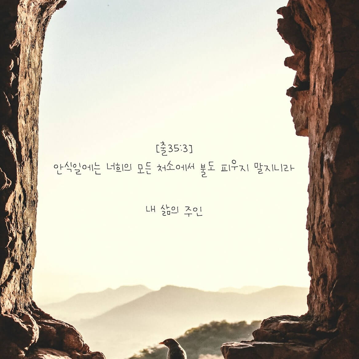 내 삶의 주인