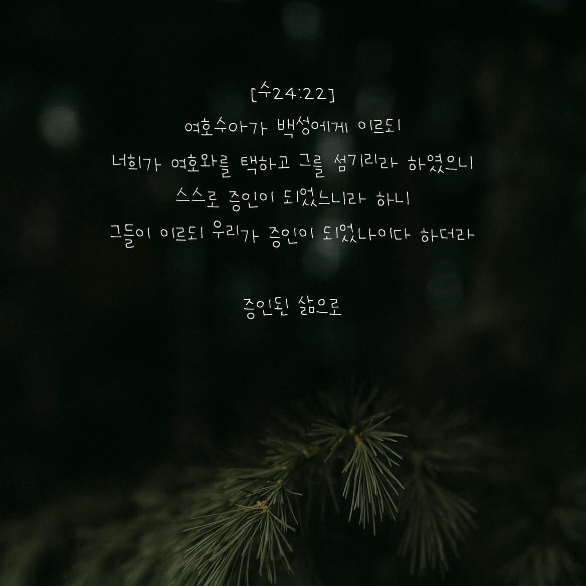 증인된 삶으로