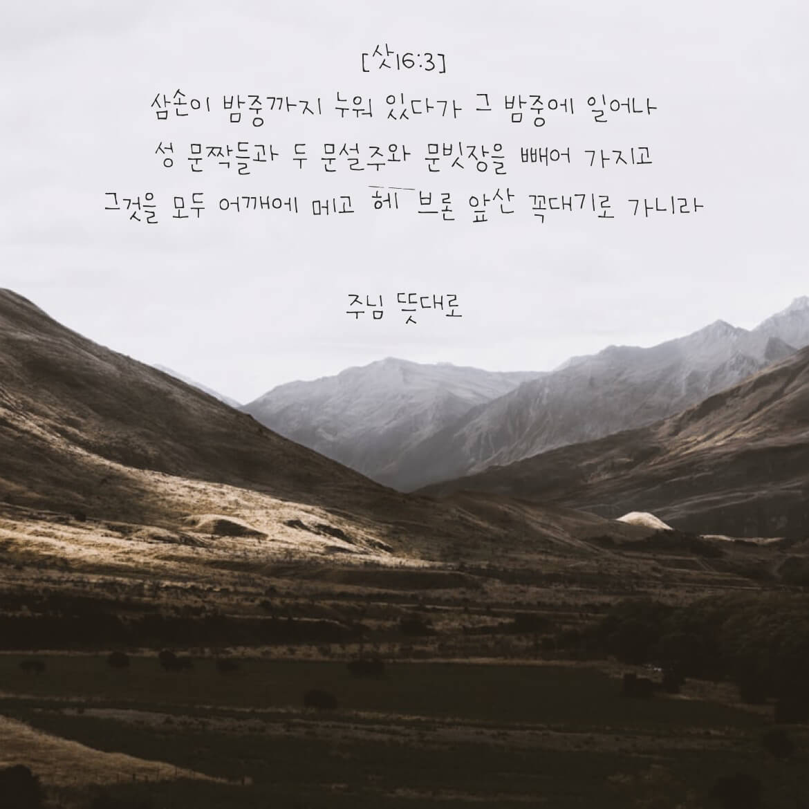 주님 뜻대로