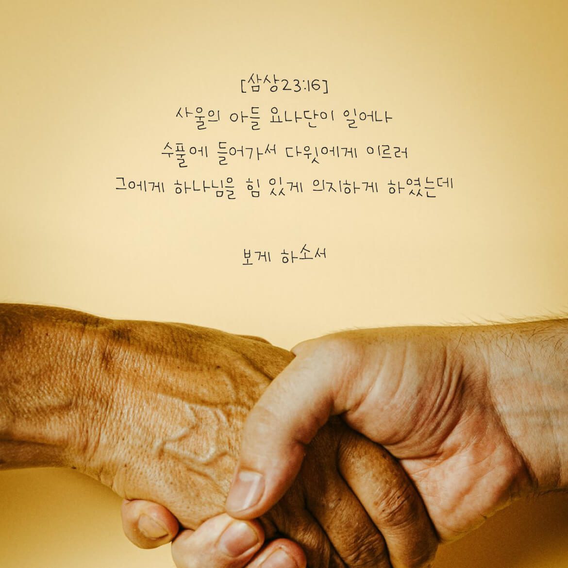 보게 하소서