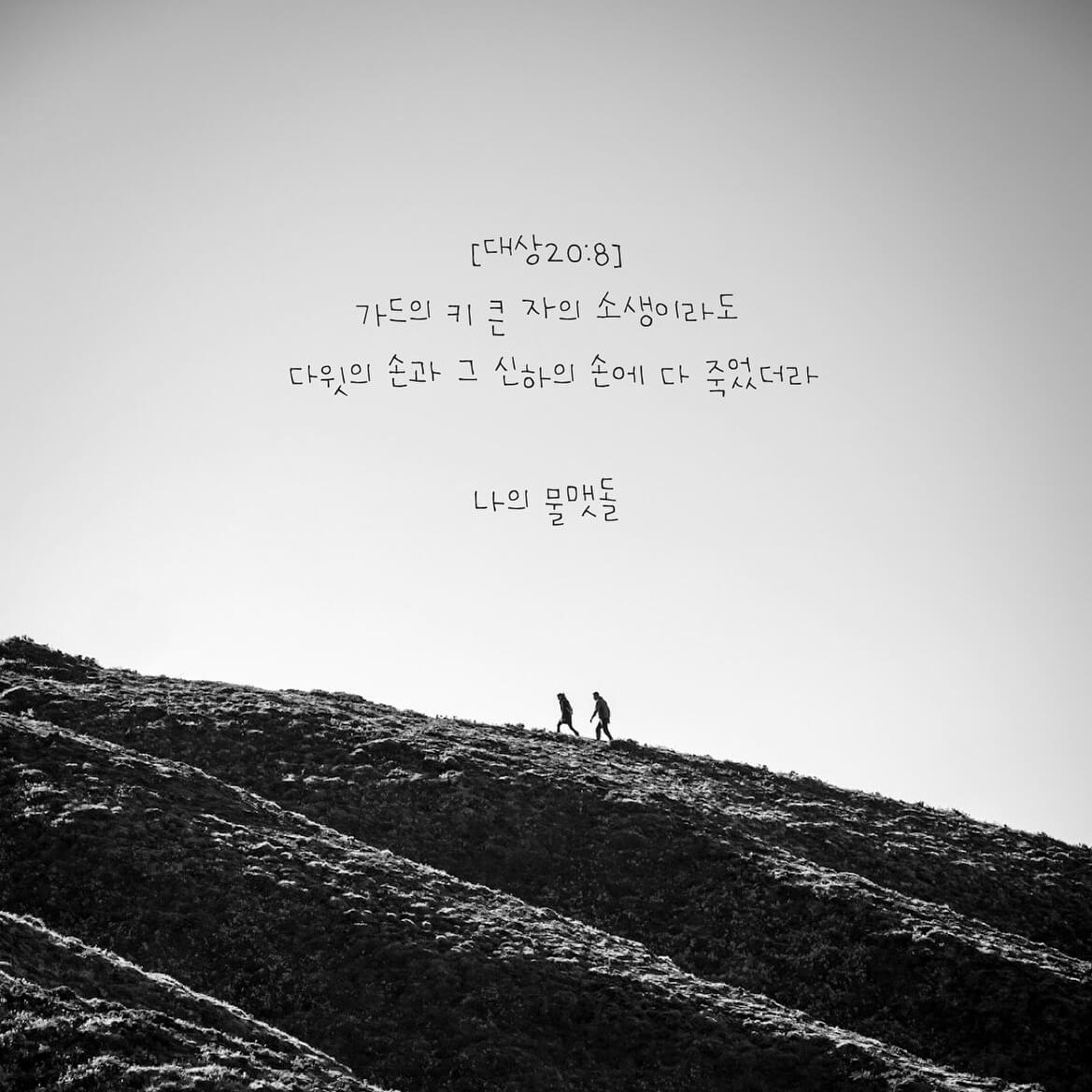 나의 물맷돌