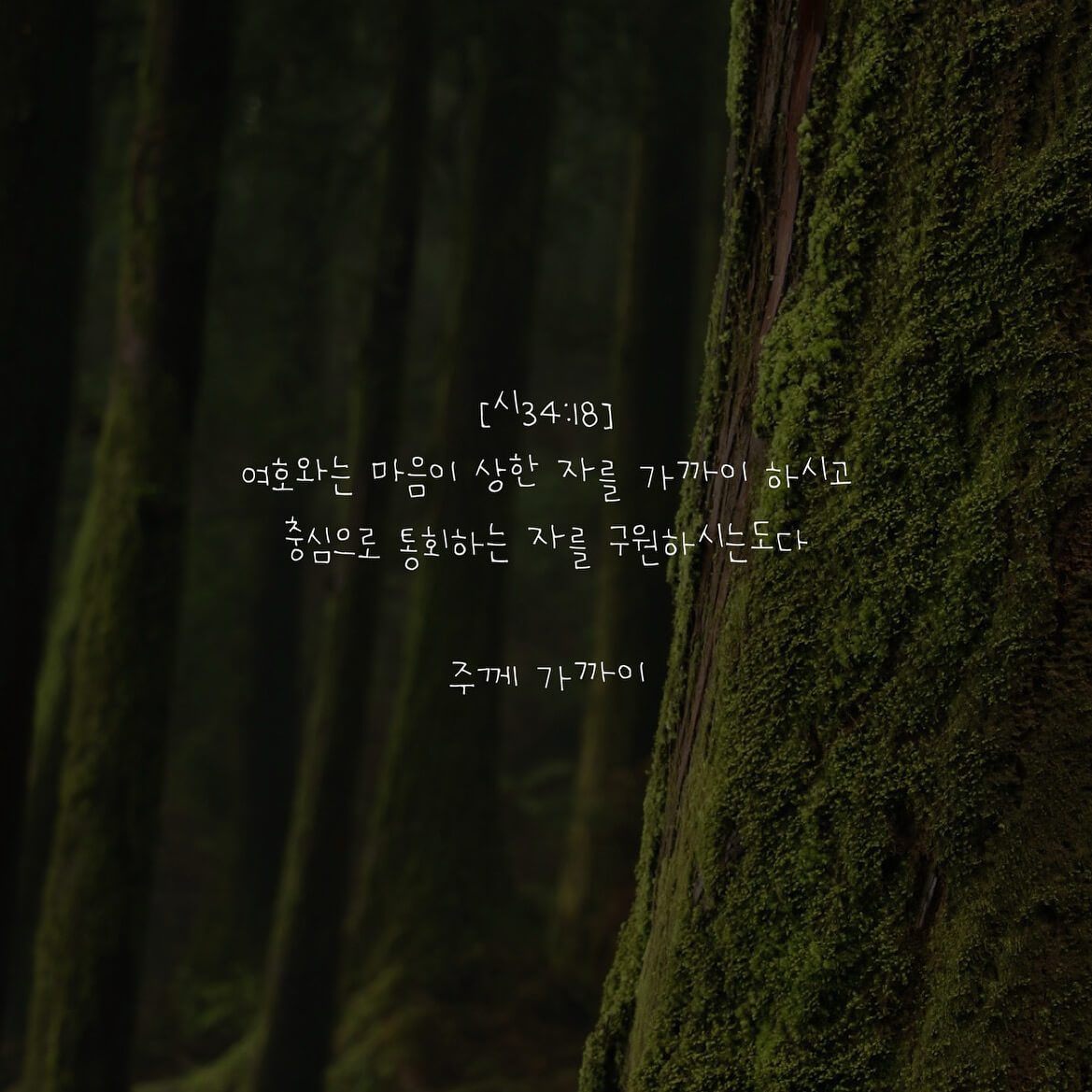 주께 가까이