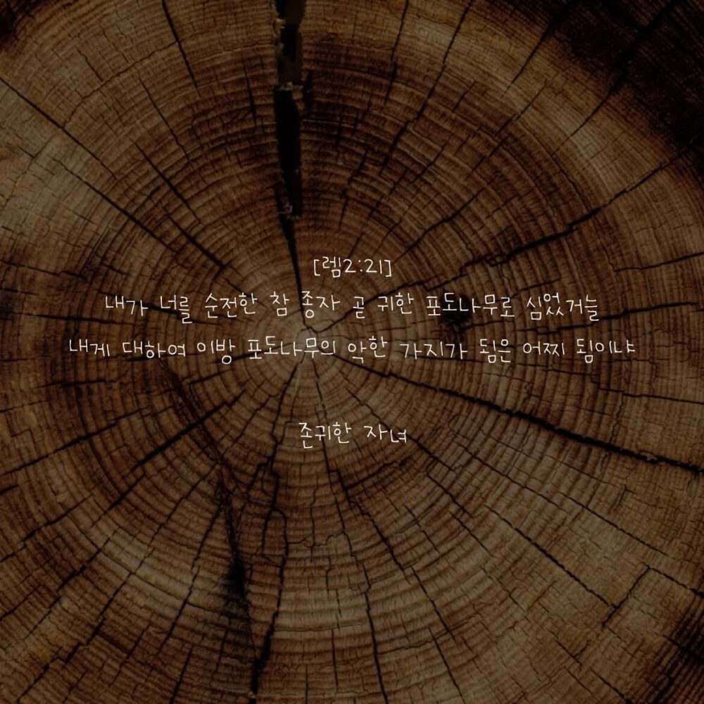 존귀한 자녀