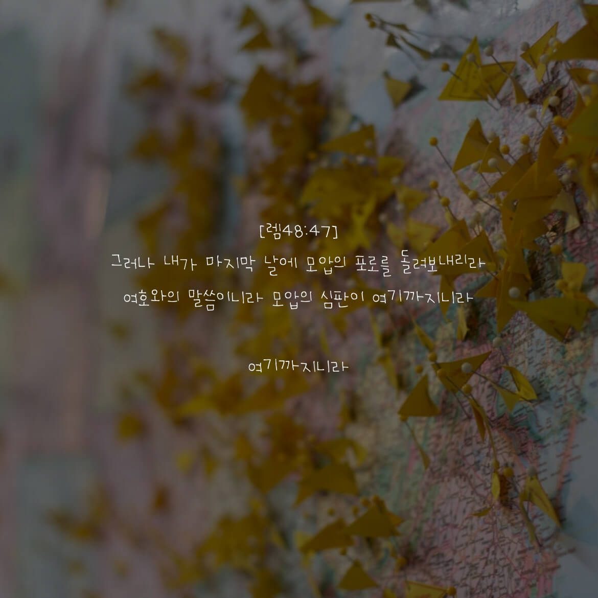 여기까지니라
