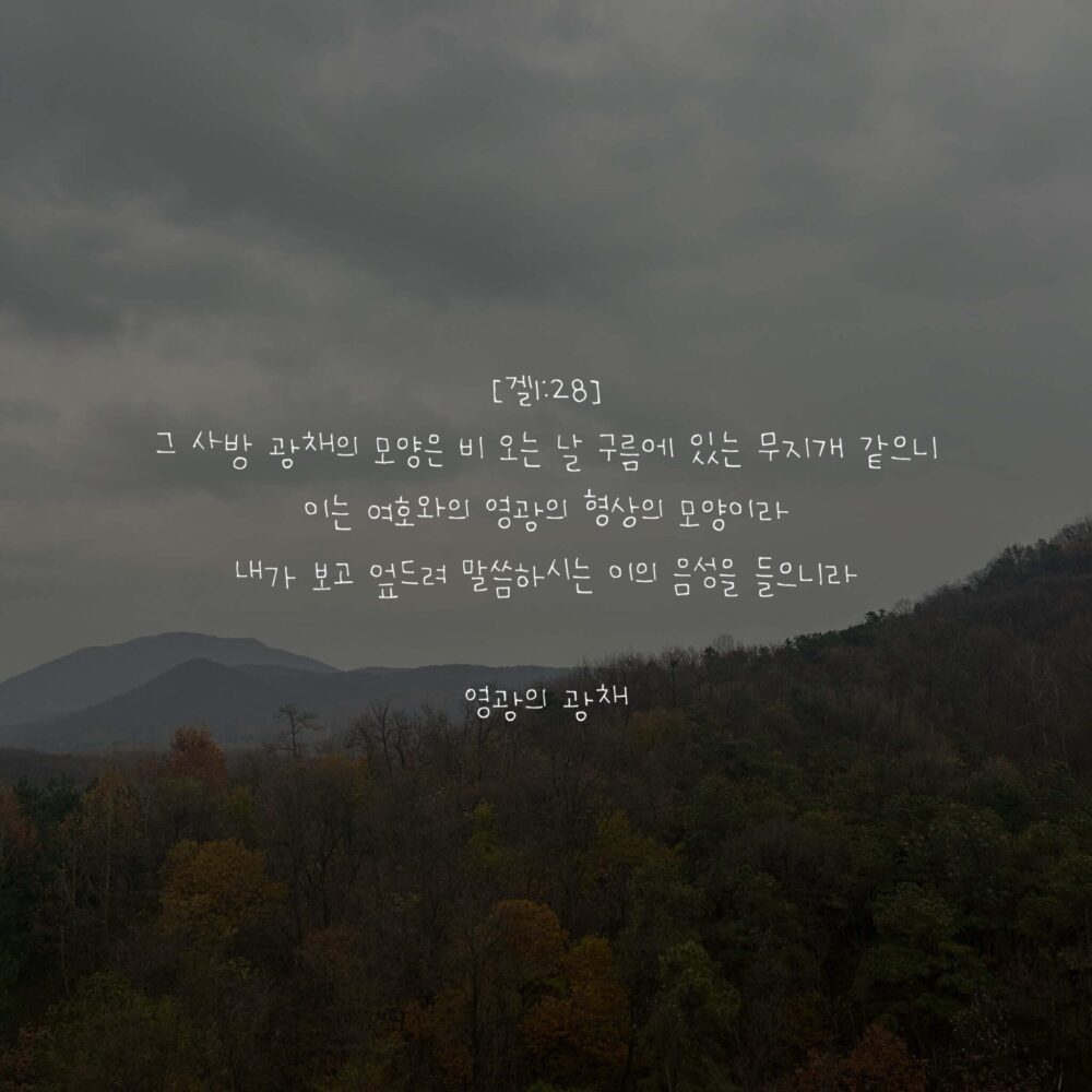 영광의 광채