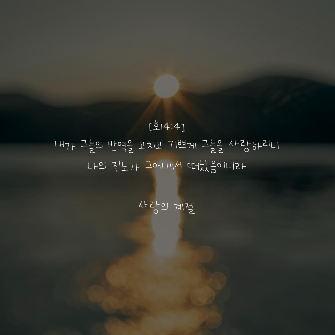 사랑의 계절