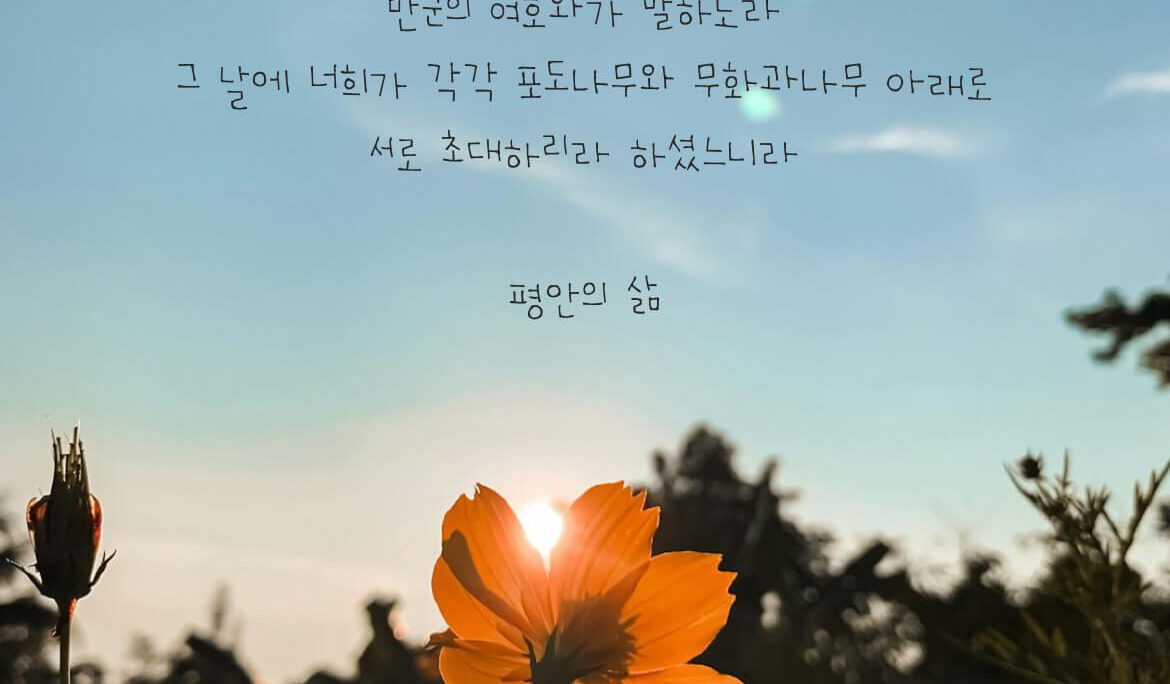 평안의 삶