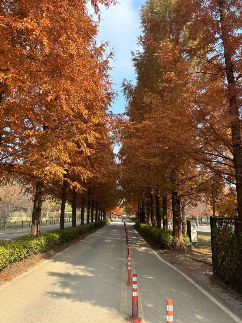 바다로 가라