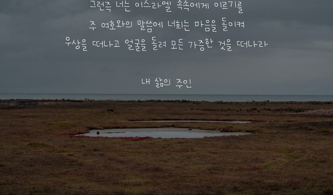 내 삶의 주인