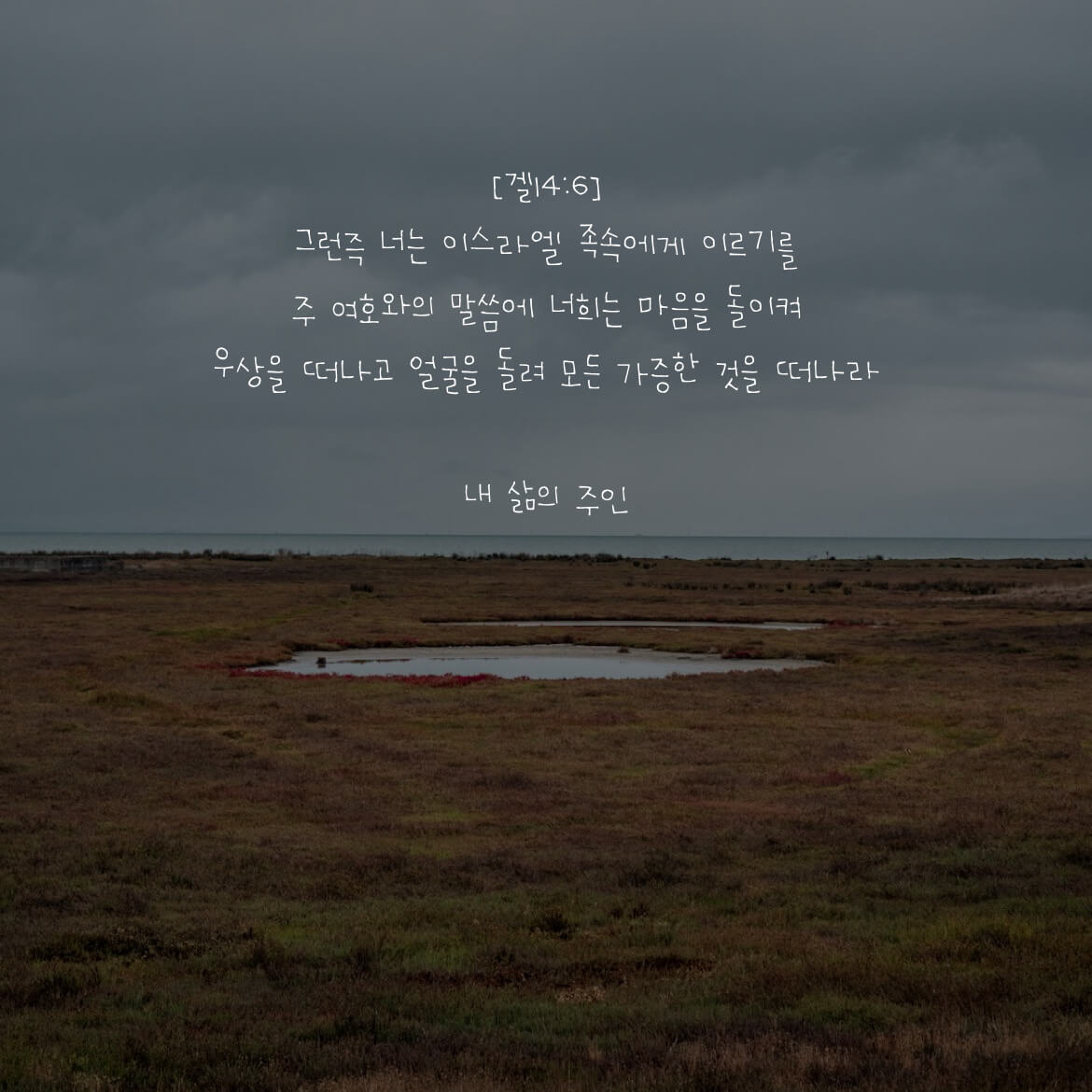 내 삶의 주인