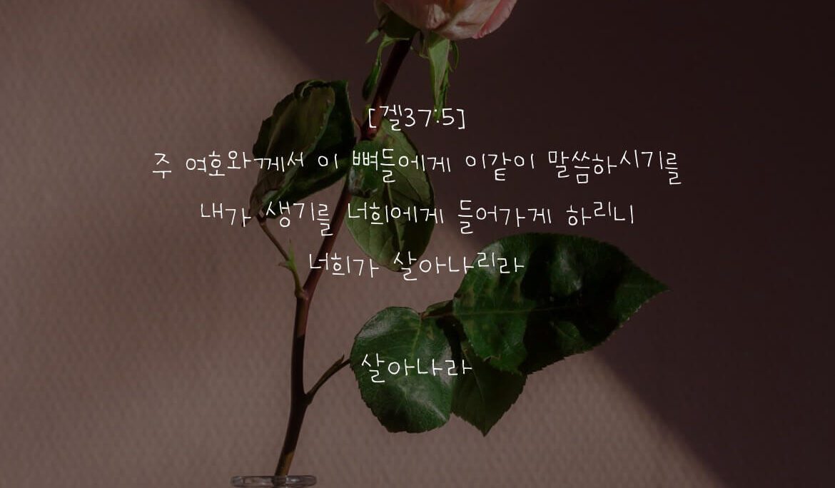살아나라