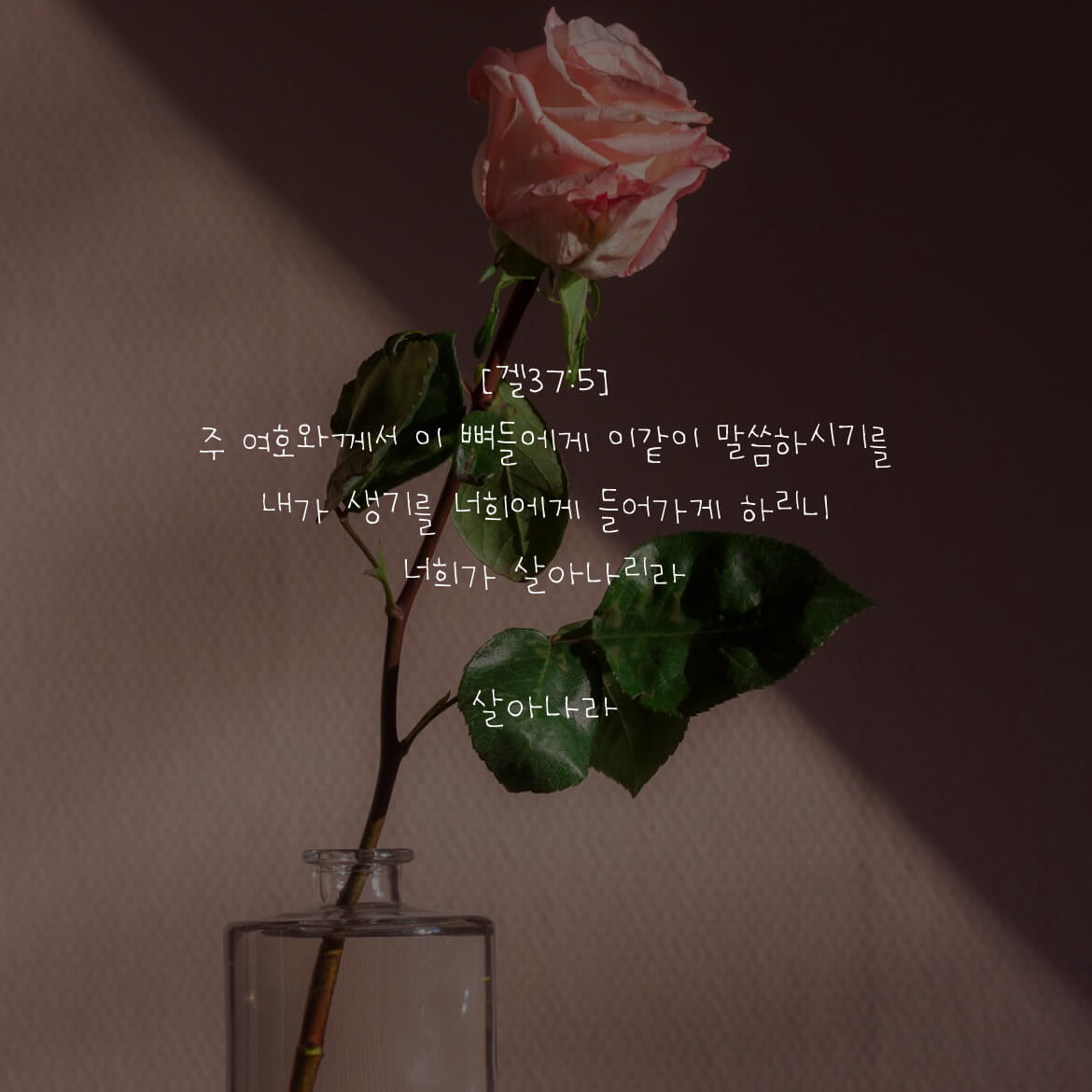 살아나라