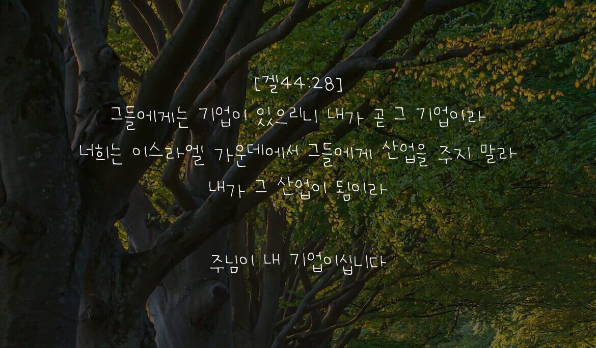 주님이 내 기업이십니다