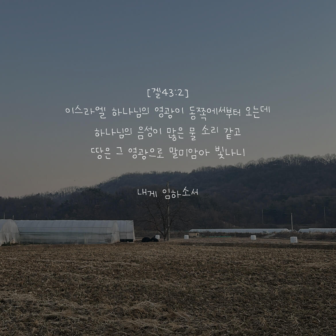 내게 임하소서