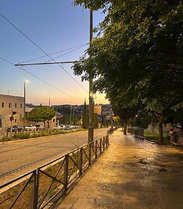 나의 손을 만지시니