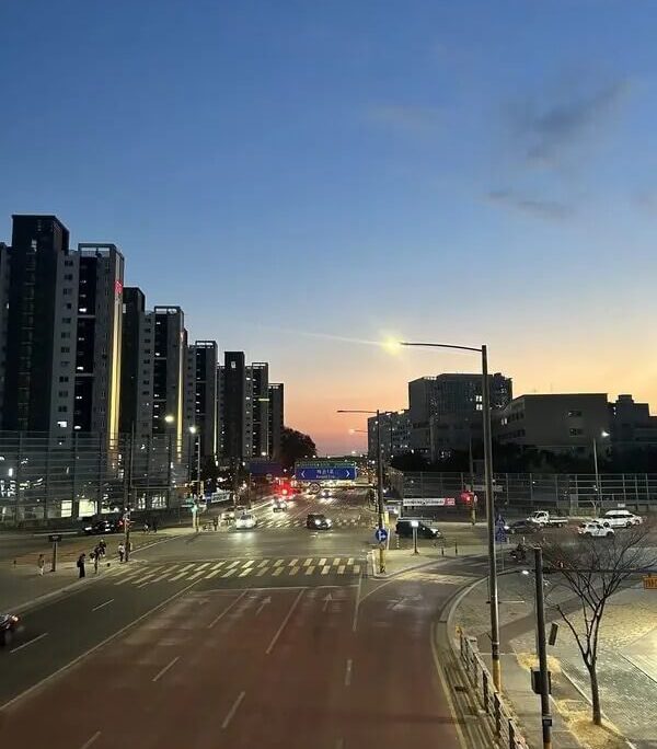 왜 비판하는가