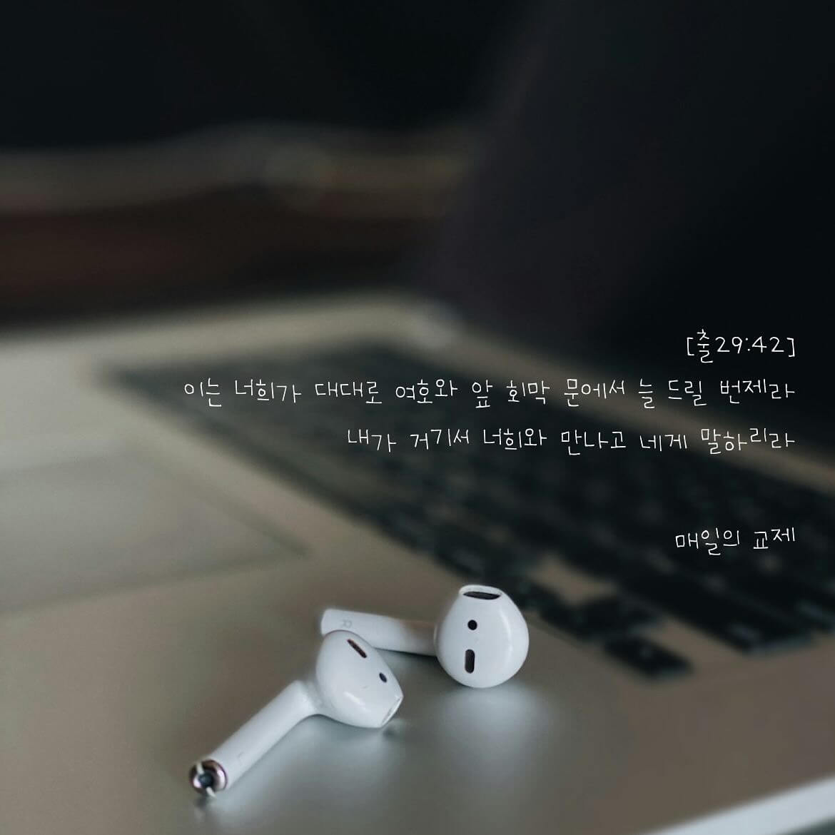 매일의 교제