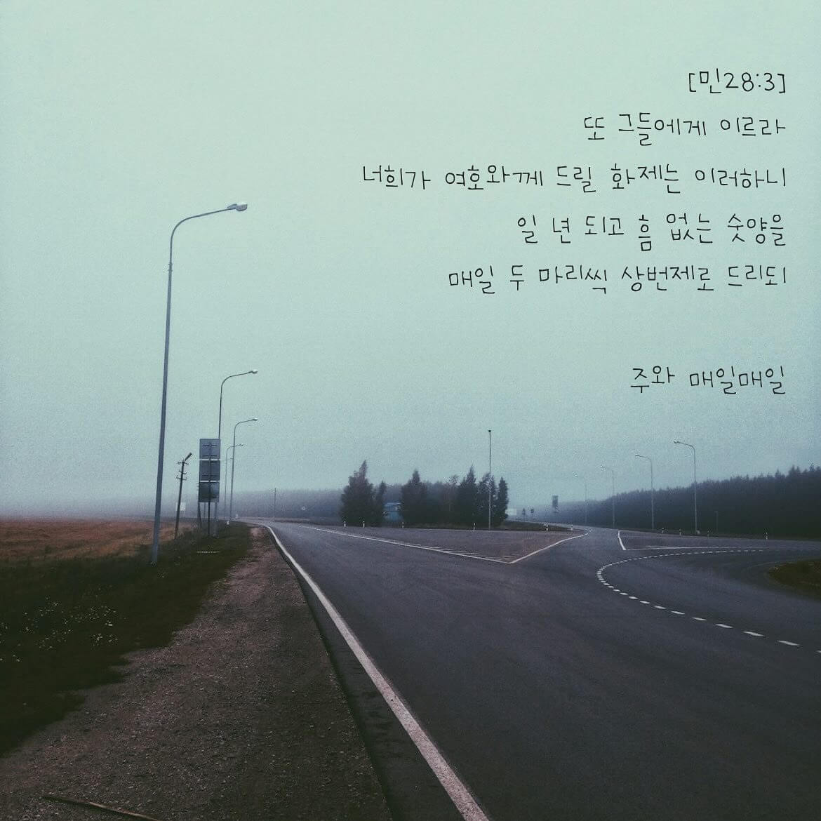 주와 매일매일